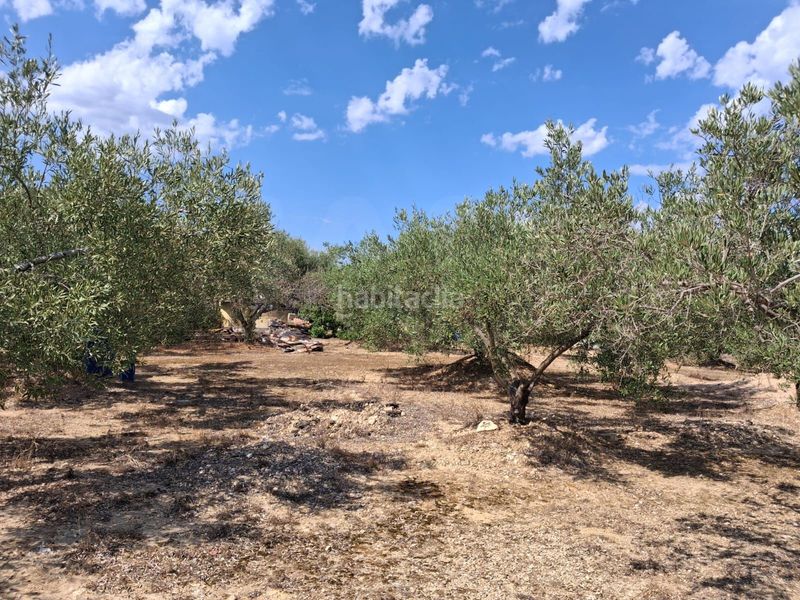 Foto fb364359-e133-4245-8617-48c59090dfba. Finca rústica a Perelló (El)