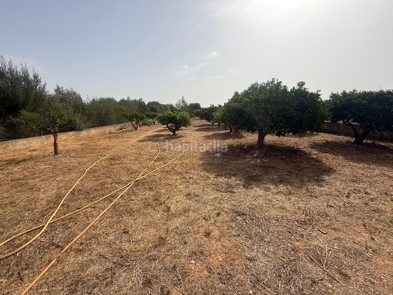 Foto bcb57b7a-765c-4dea-a72d-668a1c576739. Casa a Sencelles