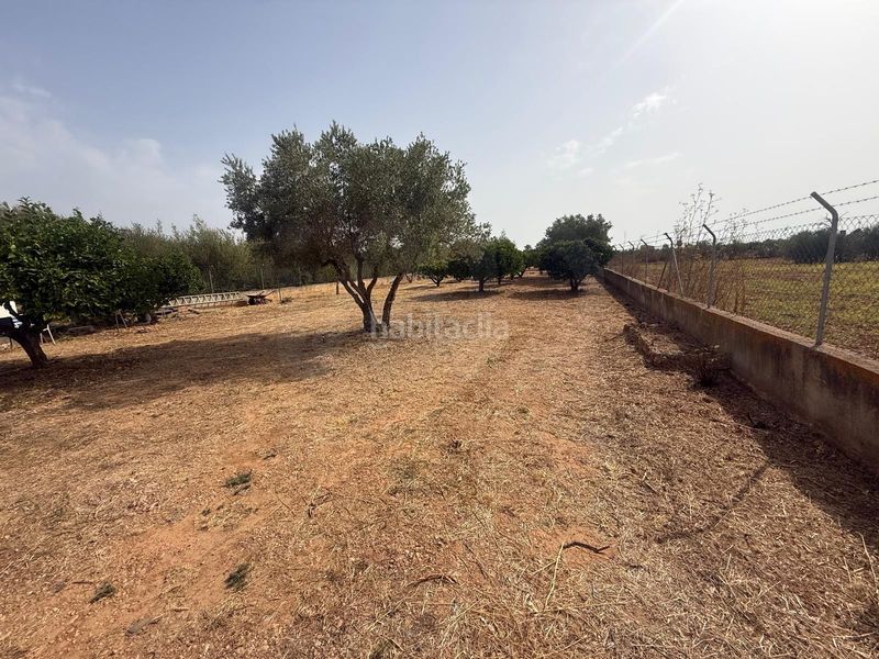 Foto f5c7864e-4c0d-48a3-88c0-37343ac3b075. Casa a Sencelles