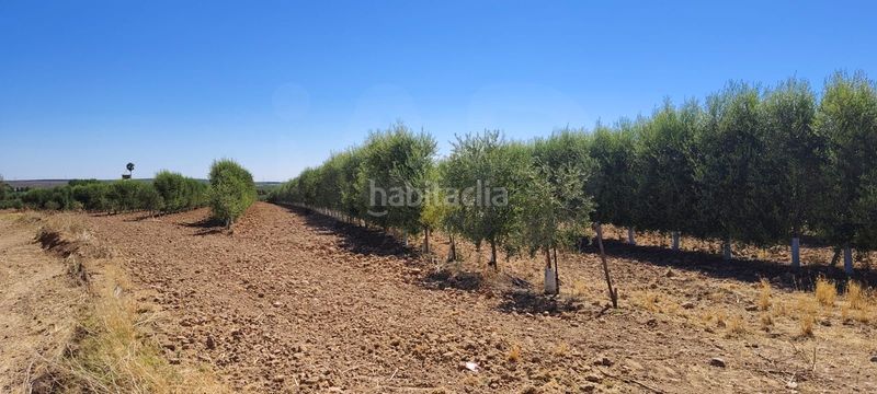 Foto 59249576-28e3-483c-873b-1f7f9ba4b816. Finca rústica a Écija