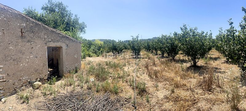 Foto 1f01b425-0849-472e-9d67-a53229f39328. Finca rústica a Vallmoll