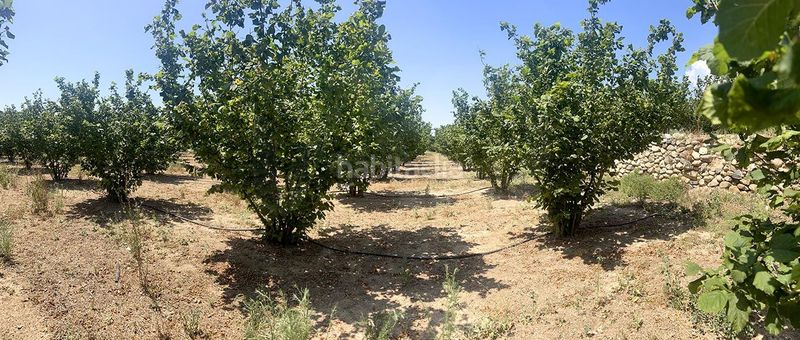 Foto 761de0ee-0b56-44f5-bca6-b780bdd4e4ec. Finca rústica a Vallmoll