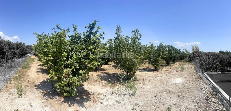 Foto 8e010a09-5faa-4290-8c7c-96120e56c874. Finca rústica a Vallmoll