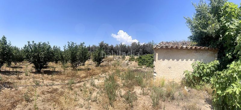 Foto e6b63d02-1b4b-4e78-9253-c30aa2cf5bc4. Finca rústica a Vallmoll