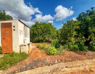Finca rústica a Oliva Pueblo
