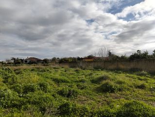 Rural plot in La Jara