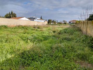 Finca rústica a La Jara