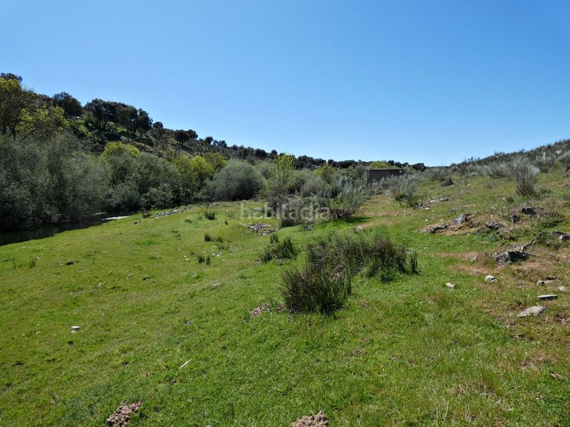 Foto 483ffc0e-1750-4e22-a3cf-43389f9310fb. Finca rústica a Gallegos de Argañán