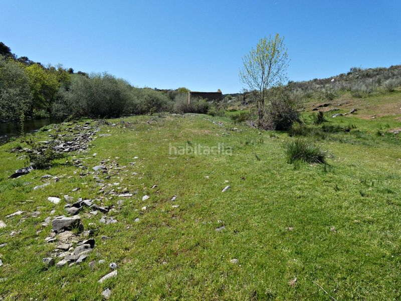 Foto f5f398bc-abb8-4594-b6ad-b53ad67446df. Finca rústica a Gallegos de Argañán