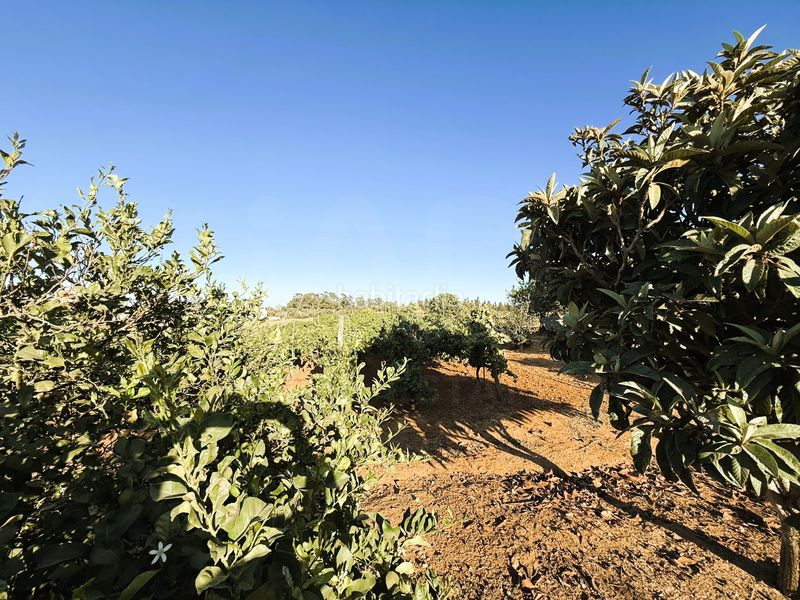 Foto 248d70b2-f5c5-48ce-9613-5aa62595492e. Finca rústica a Las Lagunas - Campano Chiclana de la Frontera