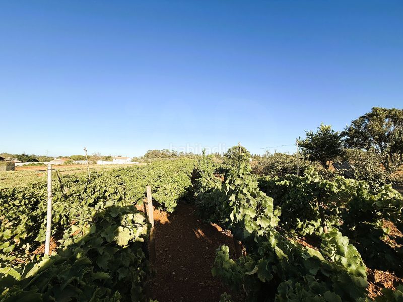 Foto 7f64e55e-3b62-48a7-bb47-c4d4b10767aa. Finca rústica a Las Lagunas - Campano Chiclana de la Frontera