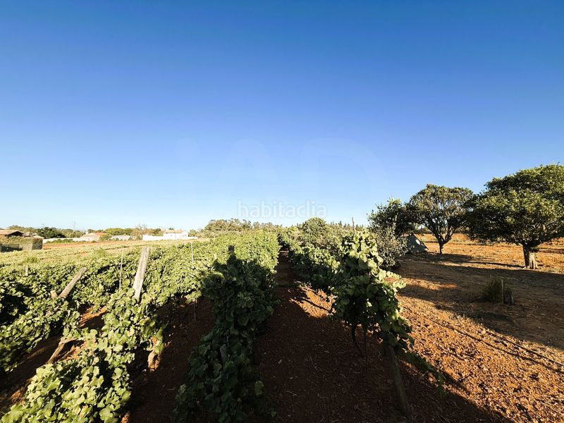 Foto 910d79b5-5fb8-431b-8e50-5a5433debba0. Finca rústica a Las Lagunas - Campano Chiclana de la Frontera