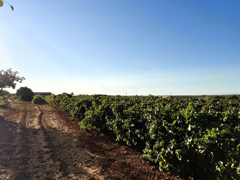 Foto bca1e8b5-40b5-45fc-b95d-7eac136c81df. Finca rústica a Las Lagunas - Campano Chiclana de la Frontera