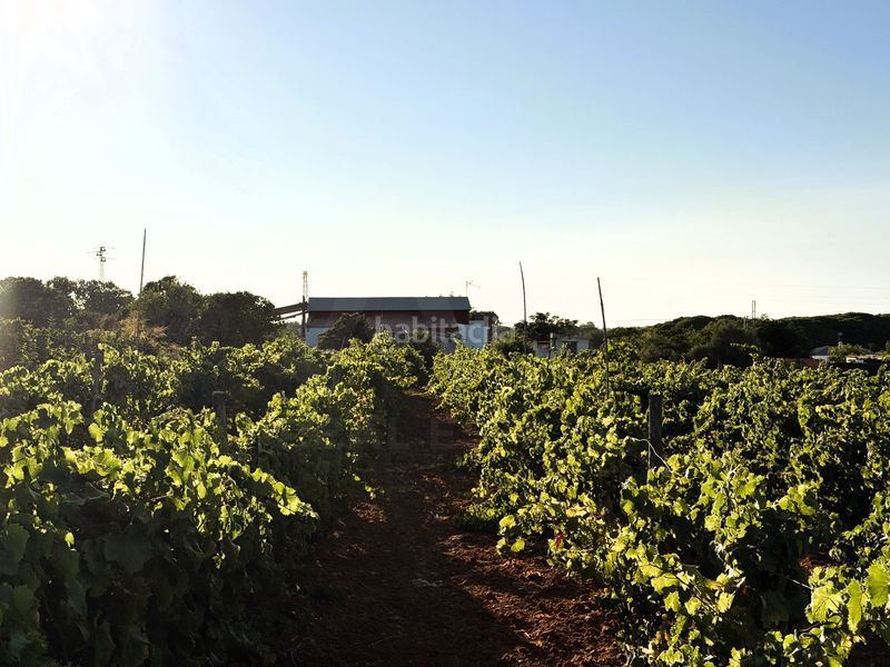 Foto fd9e4931-c981-46dd-b153-329ca7ae347d. Finca rústica a Las Lagunas - Campano Chiclana de la Frontera