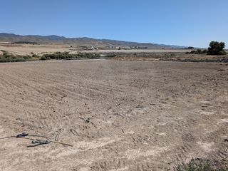 Finca rústica a La Hoya