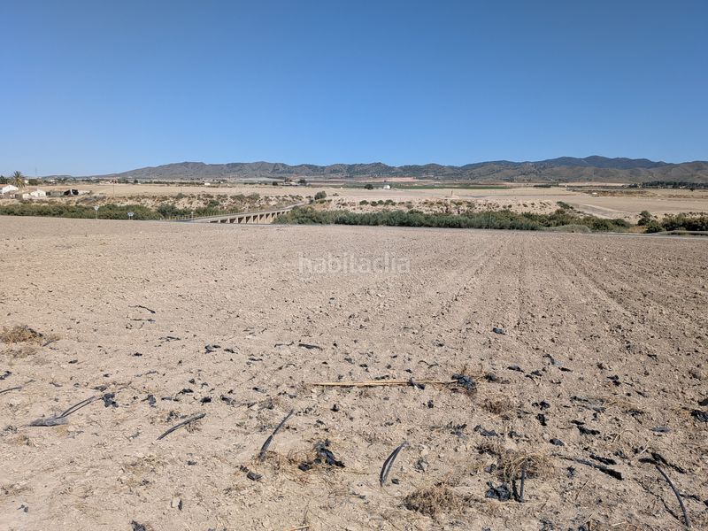 Foto af207b6c-5149-41d8-a49e-1293a5e6ce76. Finca rústica a La Hoya Lorca