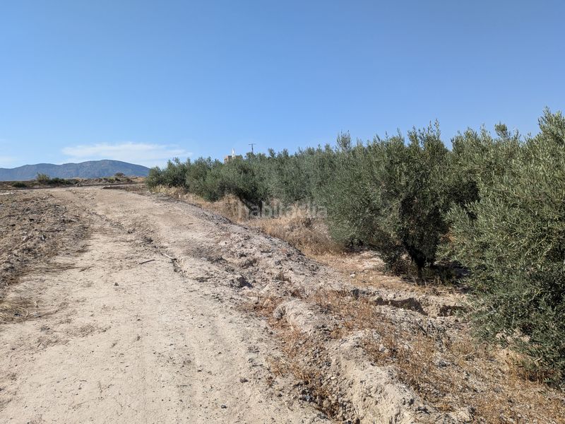 Foto b8af0b15-a5a0-46ce-95f5-119df976fd5f. Finca rústica a La Hoya Lorca