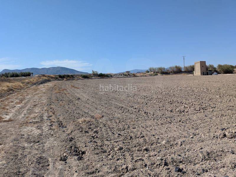 Foto d46291e8-b152-43ce-b76e-a18380ec9572. Finca rústica a La Hoya Lorca