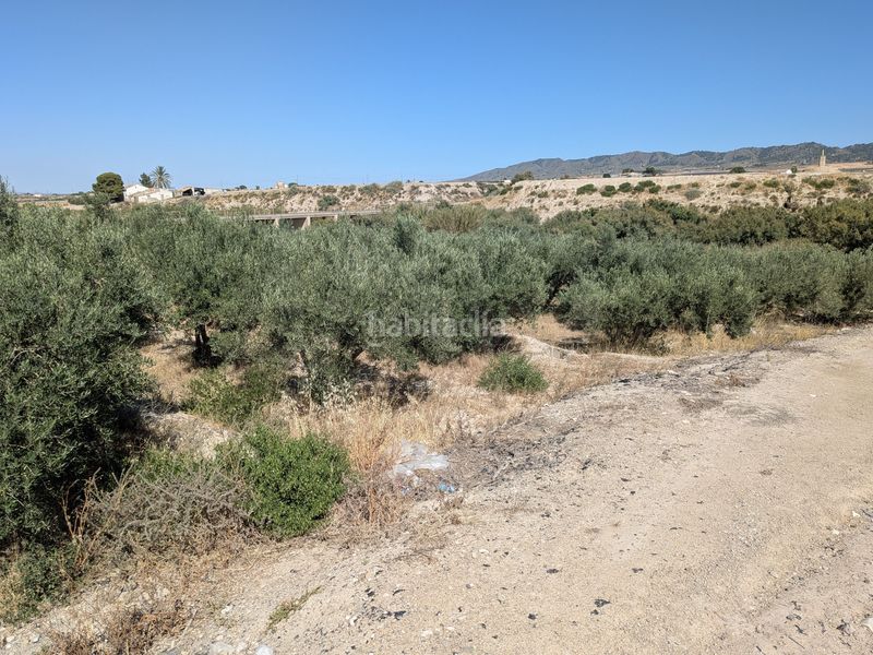 Foto da91f4b8-9c84-47f2-8082-4eaa5d04bc83. Finca rústica a La Hoya Lorca