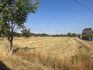 Finca rústica en Ciudad Rodrigo