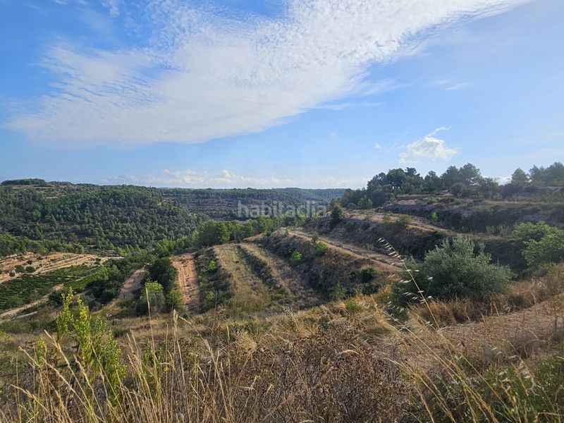 Foto 090a1c19-bd5c-4be6-894d-8d13d2c720a5. Finca rústica a Gandesa