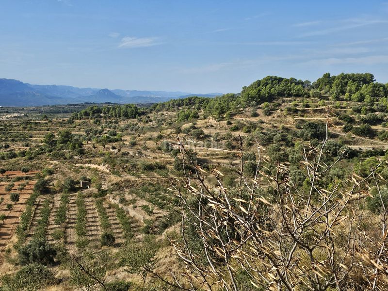 Foto 0ce6fa63-e6d6-46fc-9a5d-fd6a2a4b60ca. Finca rústica a Gandesa