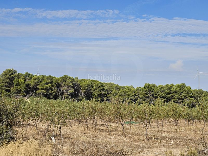 Foto 60b11cc4-4a8a-4603-ace6-b78e87b8db94. Finca rústica a Gandesa