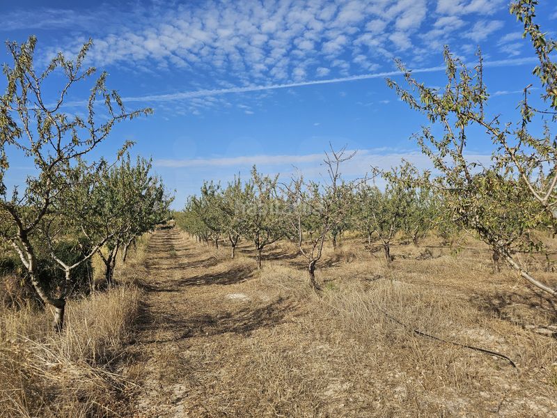 Foto b32111e9-d8d1-4007-ba11-015160d0e06d. Finca rústica a Gandesa