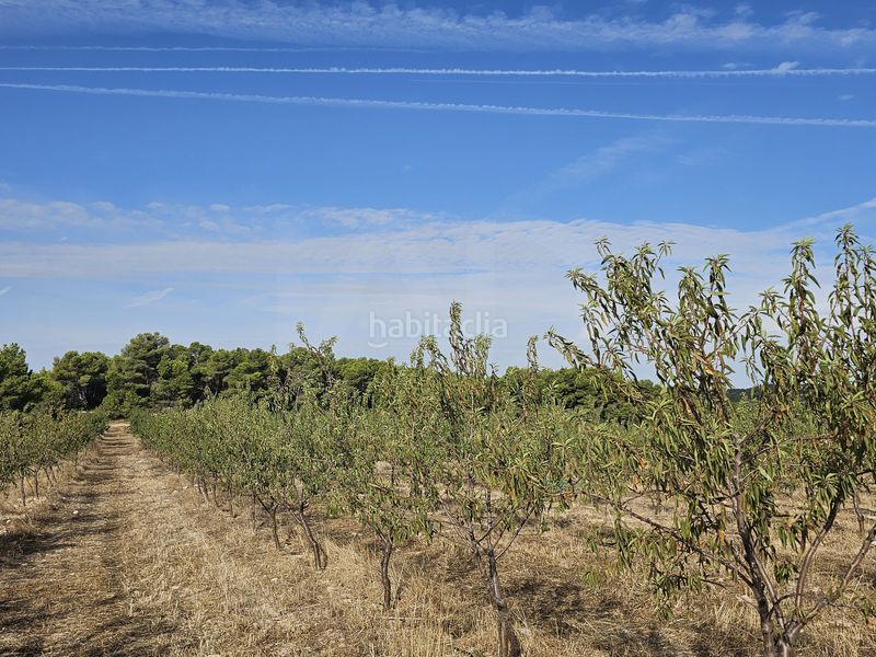 Foto b6b793f1-01fc-4ceb-a732-289b2f0874aa. Finca rústica a Gandesa