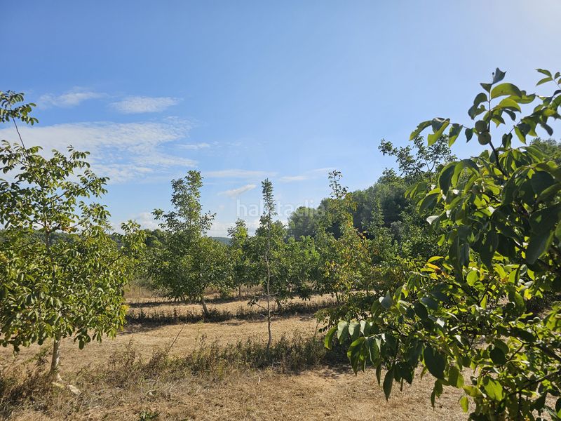 Foto c84f15f3-e400-4a61-820d-d99dcb539298. Finca rústica a Gandesa