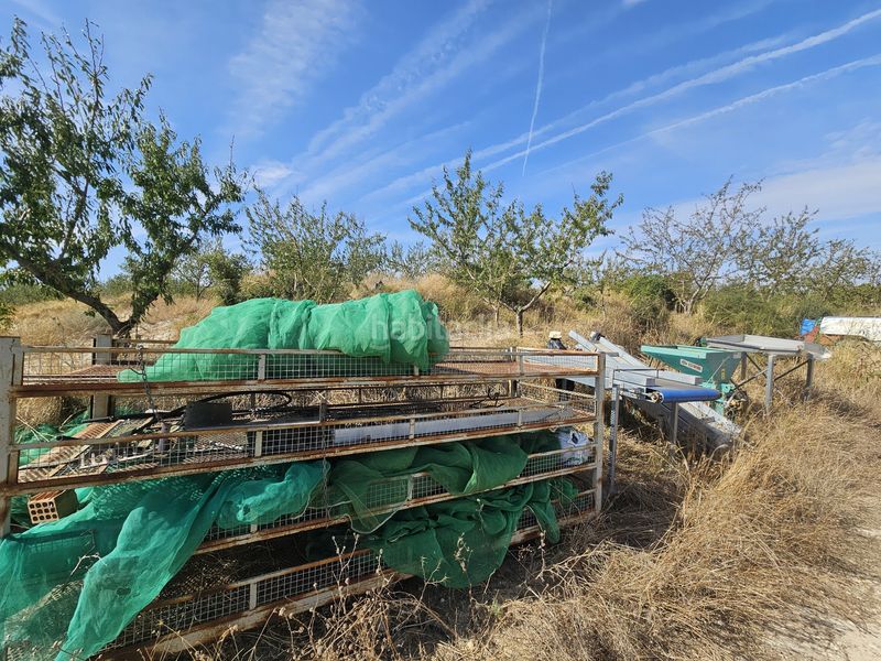 Foto e4489290-86ce-489f-96b2-3708f9e4b75e. Finca rústica a Gandesa