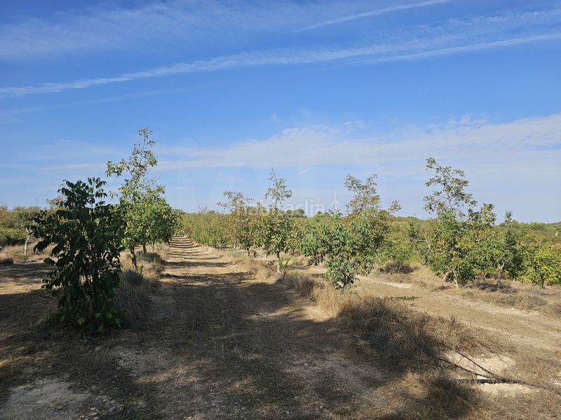 Foto fa771f56-165f-4ab4-9703-b40cc08b3899. Finca rústica a Gandesa