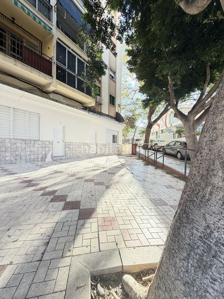 Foto 2cf0d54b-3fb2-4a35-bce9-0c247676c2ab. Estudi a alegría de la huerta- jardín de Málaga Málaga