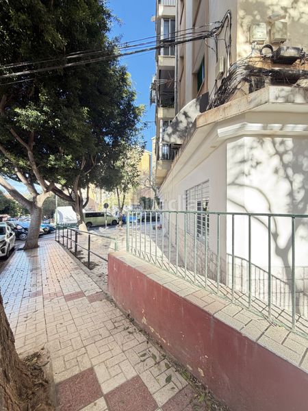 Foto b687d9ed-a899-4221-85ff-ba2529ac7c4c. Estudi a alegría de la huerta- jardín de Málaga Málaga