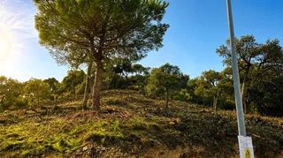 Terreno residenziale in Lloret Verd - Els Pinars