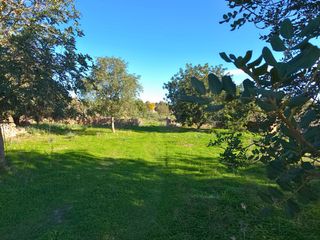Terreny residencial a Santa Margalida Poble