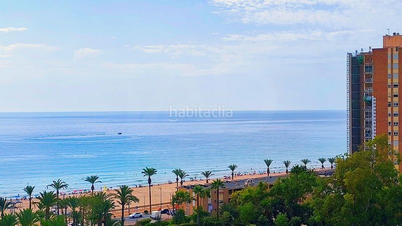 Foto 0d9a68e6-87b9-4df3-a9eb-56f38208cf80. Pis a calle elda a Playa Muchavista Campello (el)