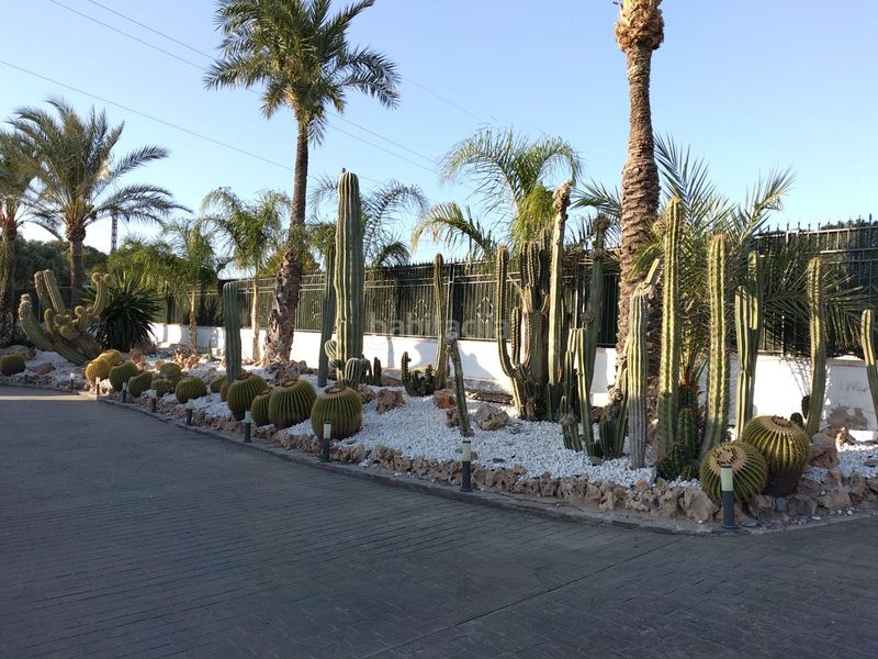 Foto 74b08386-5413-4cab-a85d-ba476bd44aa7. Xalet amb calefacció piscina a Peña de las Águilas Elche / Elx
