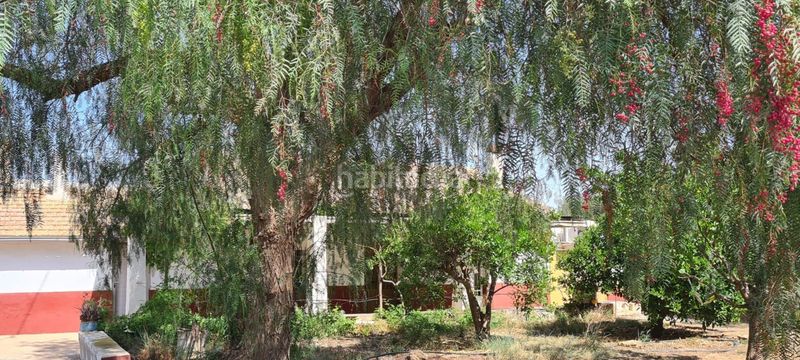 Foto 3d115454-8594-4242-a363-ea11471531d1. Casa en Carrasquilla Lorca