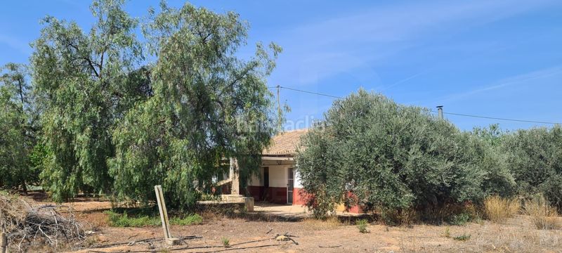 Foto eeeae107-a1fc-4053-9fab-6f5f0eb4ea44. Casa en Carrasquilla Lorca