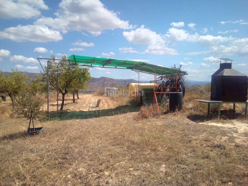 Foto 0da33450-7da0-4225-9824-0fdec2a37eac. Finca rústica a Riba-roja d´Ebre