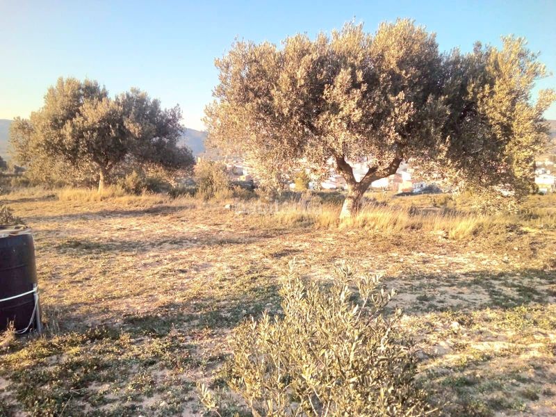 Foto 3bfa04c8-8149-4c6a-b691-fa050b8b655a. Finca rústica a Riba-roja d´Ebre