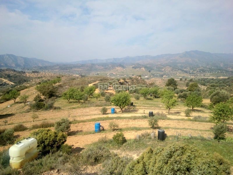 Foto c66a479b-ecc7-4d88-8e3c-a559dc109892. Finca rústica a Riba-roja d´Ebre