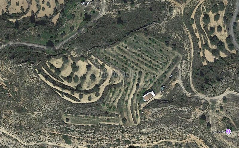 Foto f261ffa0-9108-4ca6-bb0e-464b1767971f. Finca rústica a Riba-roja d´Ebre