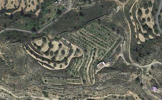 Finca rústica a Riba-roja d´Ebre