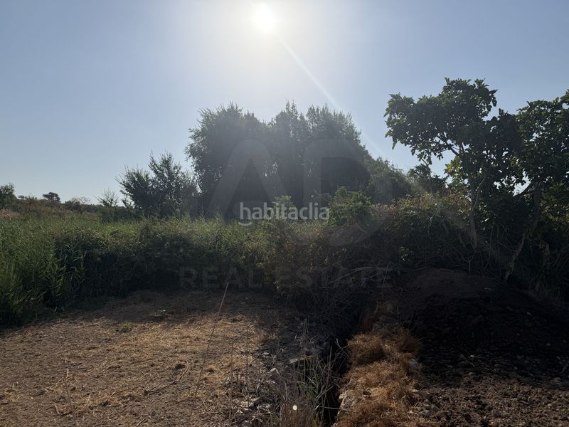 Foto e5db9595-7d74-4f0f-bd09-3e65c2f2ea9b. Casa aparellada a santa anna 44 a Llardecans