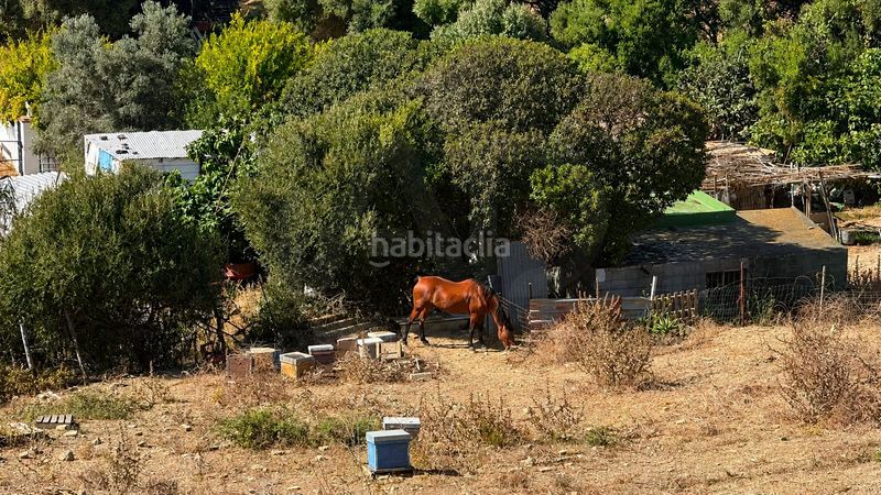 Foto d53a0c44-d419-42b3-b664-9ac7d0459f40. Casa a Tarifa ciudad Tarifa