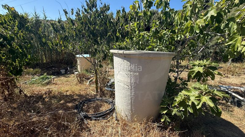 Foto df322b68-97ac-49ac-9636-836c8b89bfa2. Casa a Tarifa ciudad Tarifa