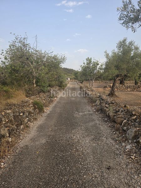 Foto 3d305e59-a8ef-49b0-b588-cb66cb1d955d. Terreny residencial a Perelló (El)
