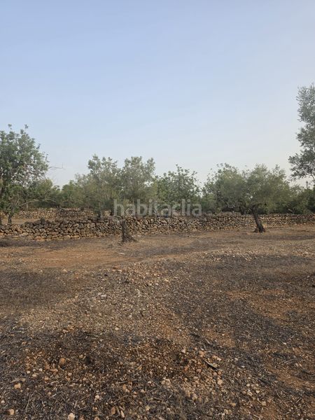 Foto c0e96ebc-1666-4b5b-a95e-d13c09d52f38. Terreny residencial a Perelló (El)